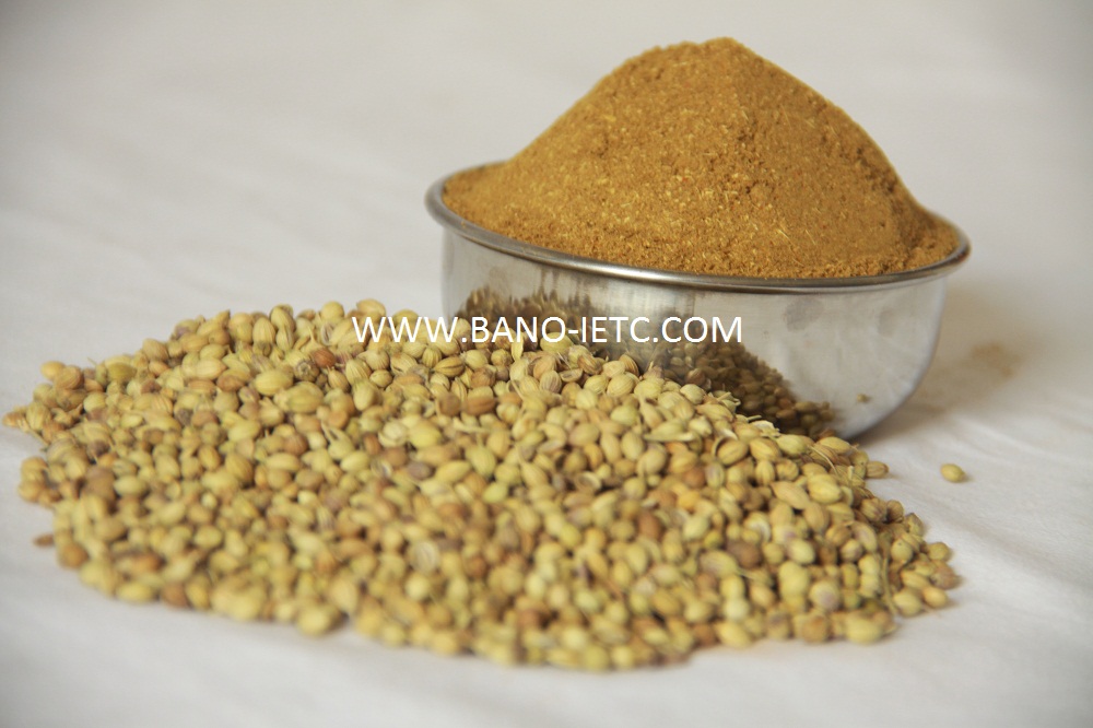 Coriander Powder